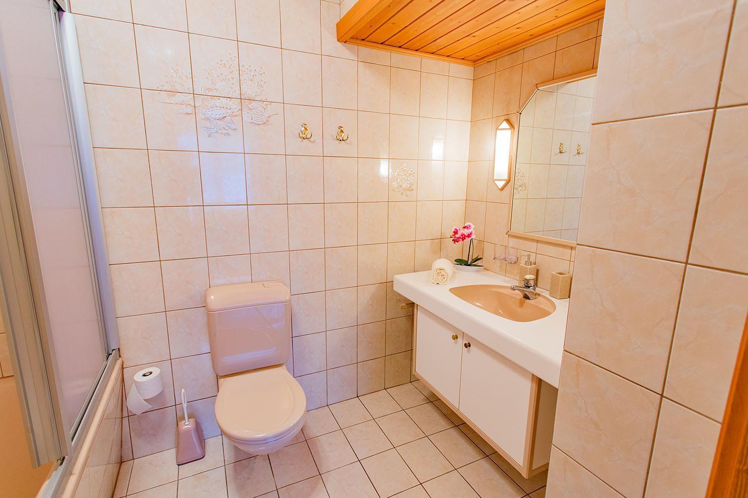 Bergidyll 3 By Alpenidyll Apartments Ramsau am Dachstein Εξωτερικό φωτογραφία